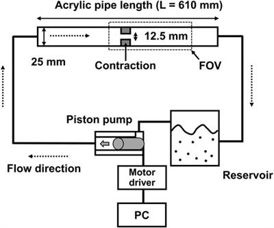 In-vitro and In-Vivo Assessment of 4D Flow MRI Reynolds Stress Mapping for Pulsatile Blood Flow